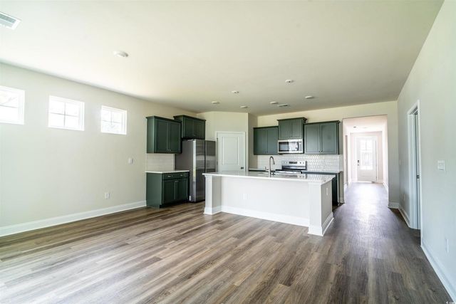 816 Hibernation Way, Conway, SC 29526