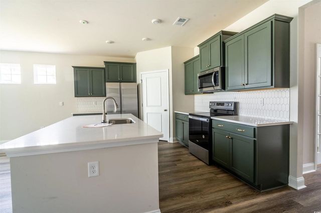 816 Hibernation Way, Conway, SC 29526