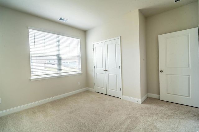 816 Hibernation Way, Conway, SC 29526