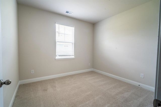 816 Hibernation Way, Conway, SC 29526