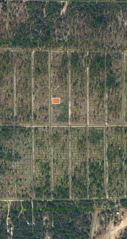 Lot 33 and 34 IOWA AVENUE, Hawthorne, FL 32640