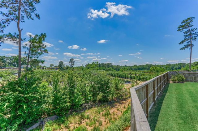 384 Mallorn Lane, Montgomery, TX 77316