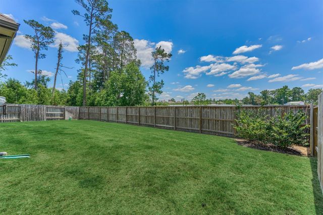 384 Mallorn Lane, Montgomery, TX 77316