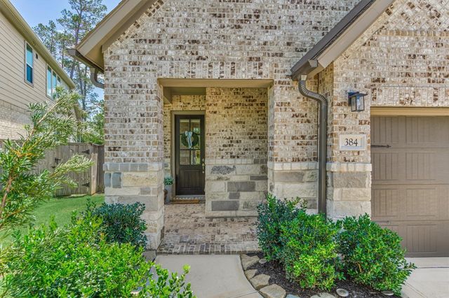384 Mallorn Lane, Montgomery, TX 77316