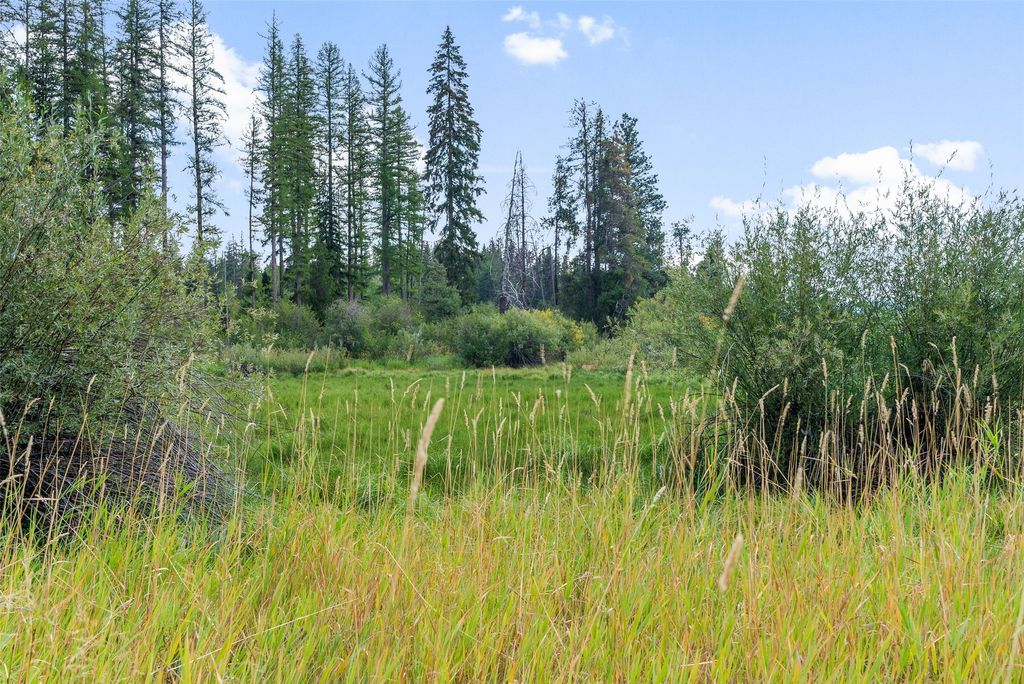 3481 Mt-83, Seeley Lake, MT 59868 photo 101