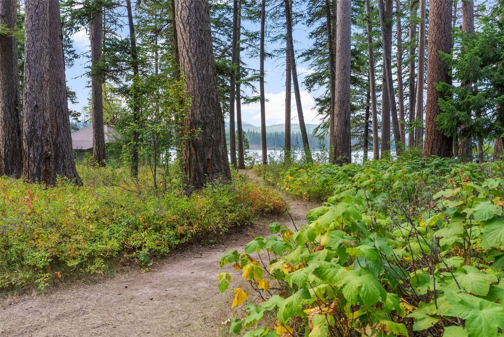 3481 Mt-83, Seeley Lake, MT 59868 photo 68