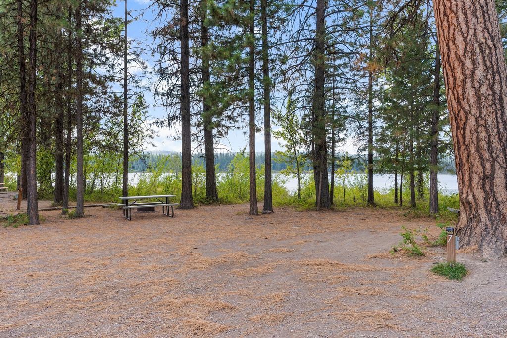 3481 Mt-83, Seeley Lake, MT 59868 photo 75