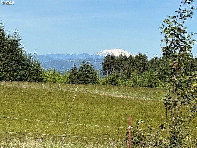 65748 MEISSNER Rd, Deer Island, OR 97054
