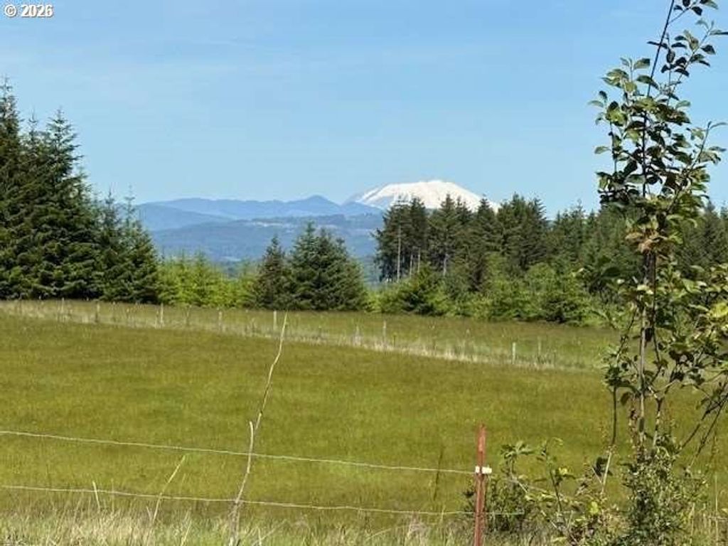 65748 MEISSNER Rd, Deer Island, OR 97054