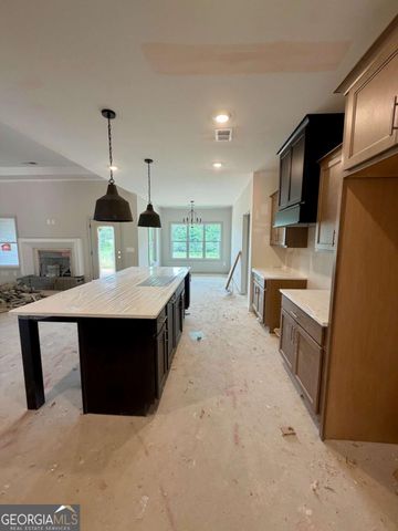 1040 Roopville Veal Road, Roopville, GA 30170