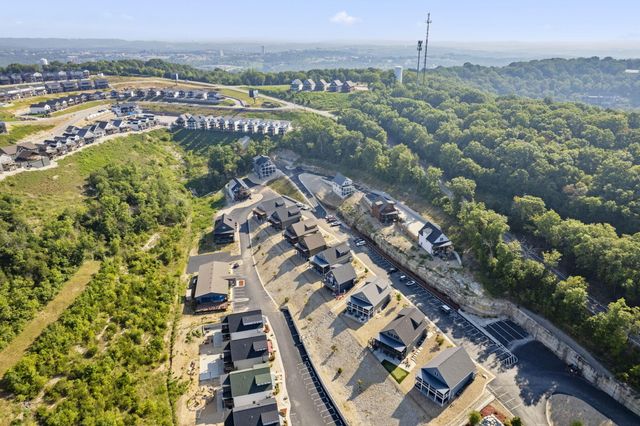 155 Lakefront Drive, Branson, MO 65616