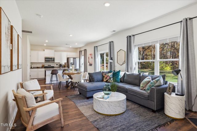 127 Mint Court, Bluff City, TN 37618