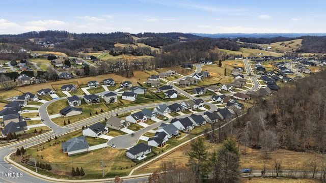 287 Winston Place, Johnson City, TN 37615