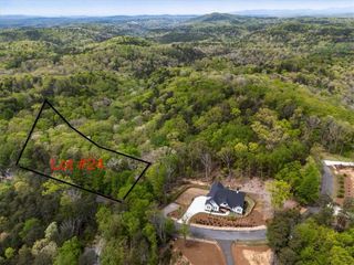 Lot 24 Brown Deer Drive, Talking Rock, GA 30175