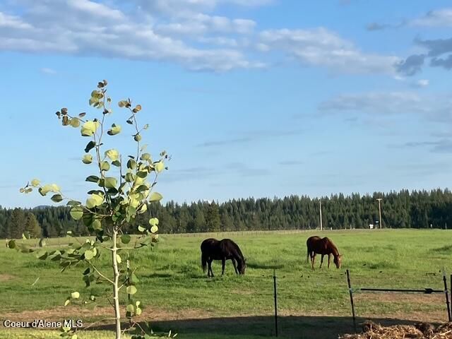 202 Elizabeth Ln, Athol, ID 83801
