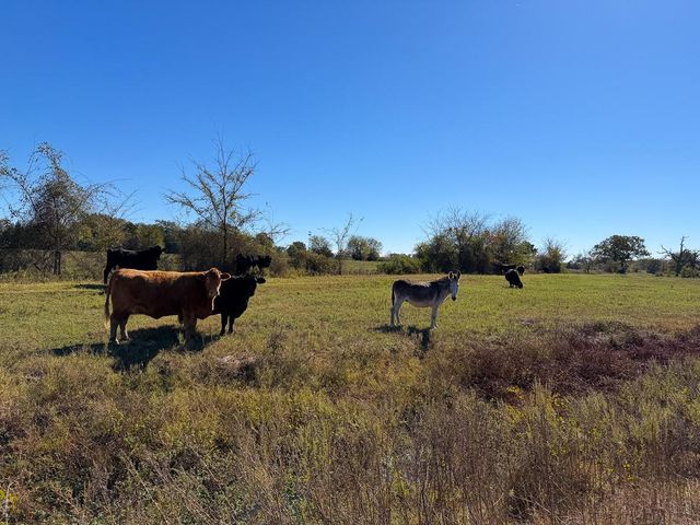 1658 State Highway 75 N, Huntsville, TX 77320