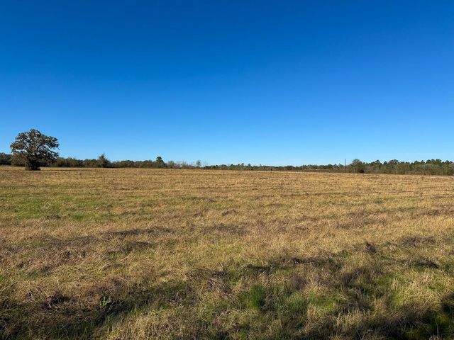 1658 State Highway 75 N, Huntsville, TX 77320