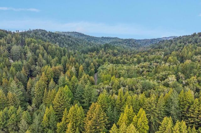 17386 Tressel Pass Road, Boulder Creek, CA 95006