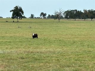 TBD FM 487, Thorndale, TX 76577