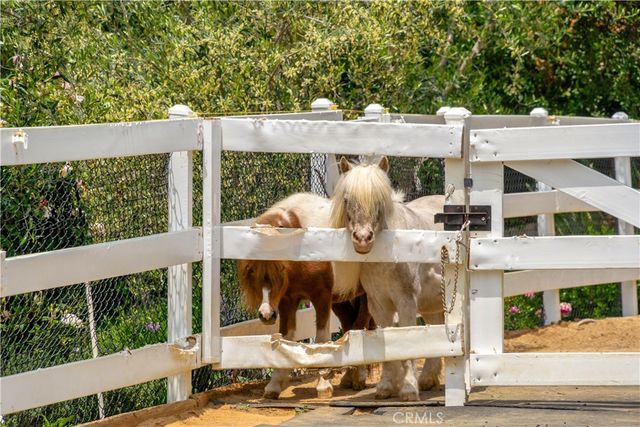 5558 Hoback Glen Road, Hidden Hills, CA 91302