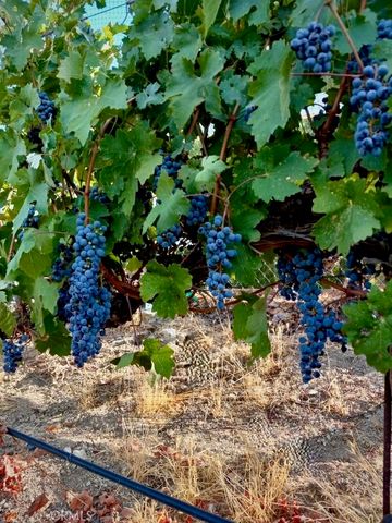 5558 Hoback Glen Road, Hidden Hills, CA 91302