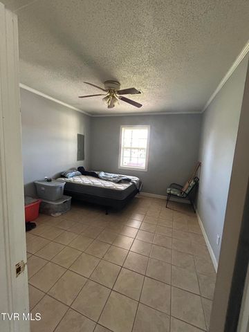 2330 East Side Avenue, Johnson City, TN 37601