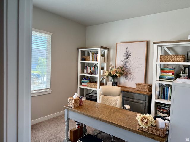315 S SHERMAN ST, Mapleton, UT 84664