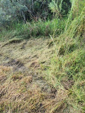 BRIDLE PATH, St Cloud, FL 34771