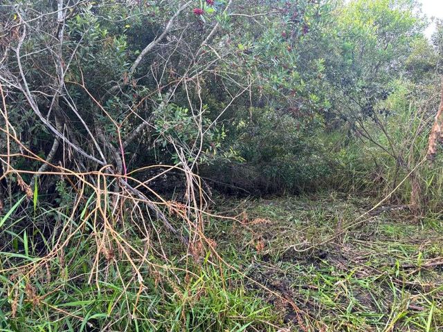 BRIDLE PATH, St Cloud, FL 34771