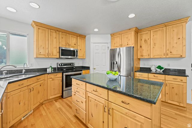 4317 W 9580 S, South Jordan, UT 84009