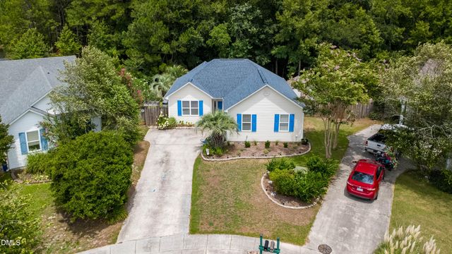 9544 Mermaids Watch Court, Leland, NC 28451