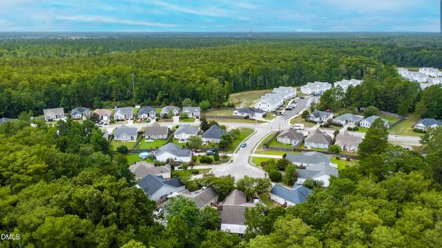 9544 Mermaids Watch Court, Leland, NC 28451