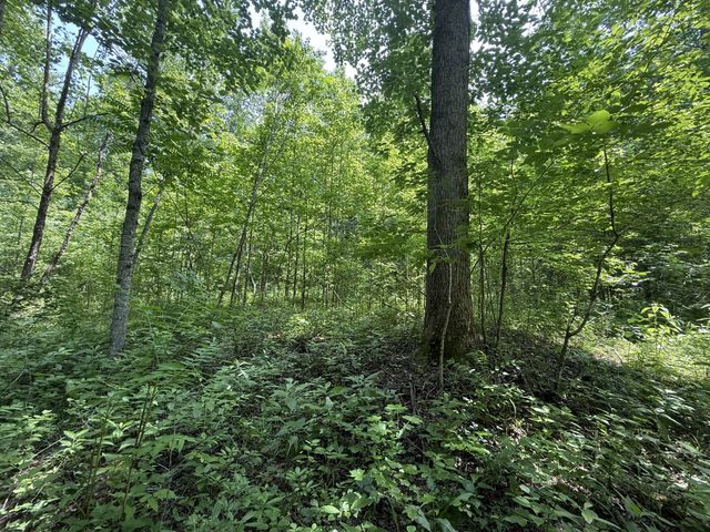 107 Possum trot Ln, Linden, TN 37096