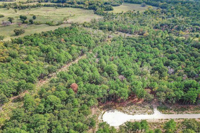 Tract 53 Ranches At Buckhorn Creek, Crockett, TX 75835