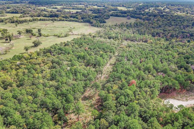 Tract 53 Ranches At Buckhorn Creek, Crockett, TX 75835