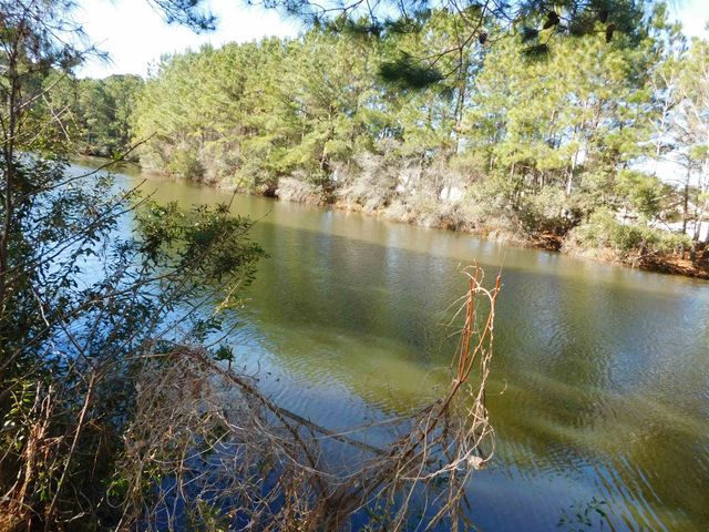 1121 Augustus Dr., Conway, SC 29527