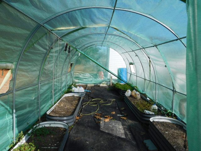 1121 Augustus Dr., Conway, SC 29527