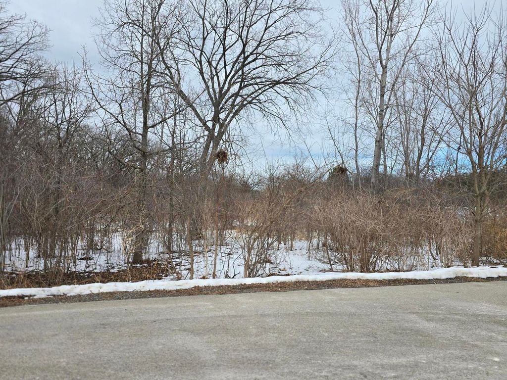 13472 W Hart Street, Wadsworth, IL 60083