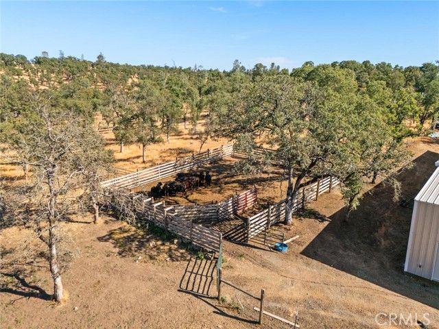 45 Lighthouse Lane, Bangor, CA 95901