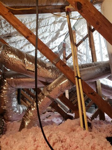 12318 Ormandy Street, Houston, TX 77085