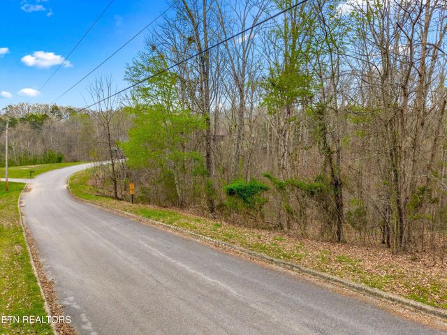 107 Turtle Dove Tr, Dandridge, TN 37725