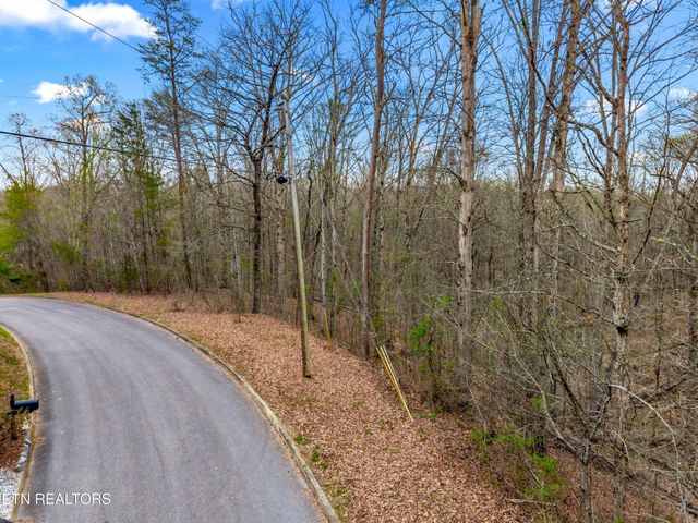 107 Turtle Dove Tr, Dandridge, TN 37725