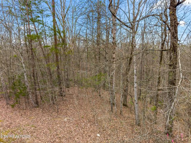 107 Turtle Dove Tr, Dandridge, TN 37725
