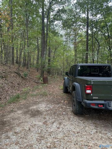 410 - A Aderholt Street, Glencoe, AL 35905