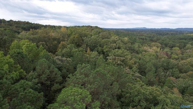 410 - A Aderholt Street, Glencoe, AL 35905