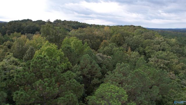 410 - A Aderholt Street, Glencoe, AL 35905