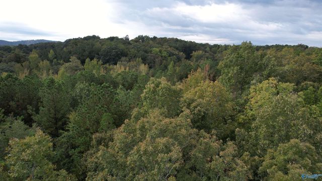 410 - A Aderholt Street, Glencoe, AL 35905