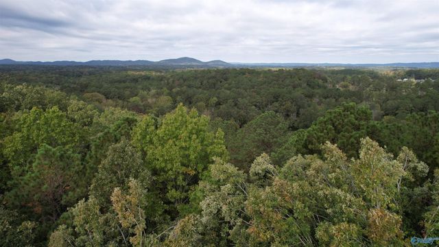 410 - A Aderholt Street, Glencoe, AL 35905