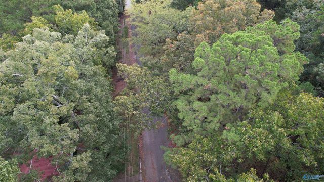 410 - A Aderholt Street, Glencoe, AL 35905