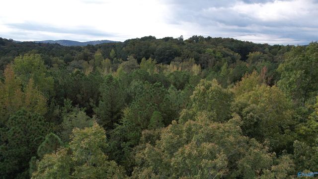 410 - A Aderholt Street, Glencoe, AL 35905